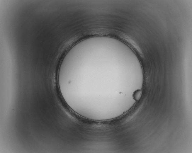 X0000112370633200908131255
