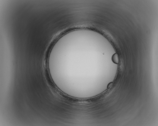 X0000112370636200908131255