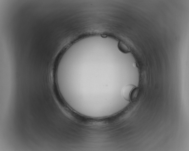 X0000112370638200908131255