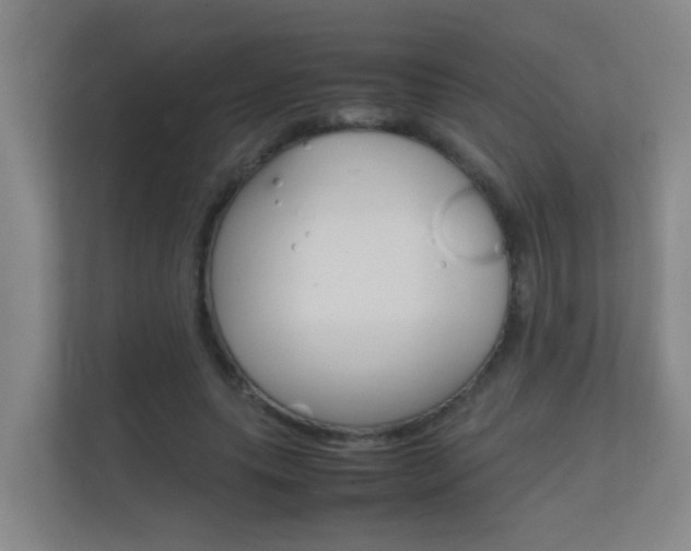 X0000112370639200908131255