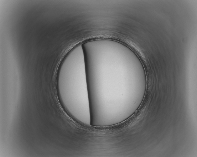 X0000112370673200908131255