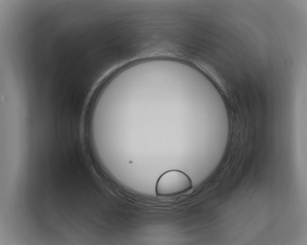 X0000112370680200908131255