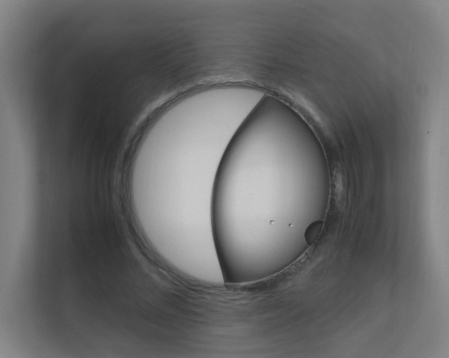 X0000112370684200908131255