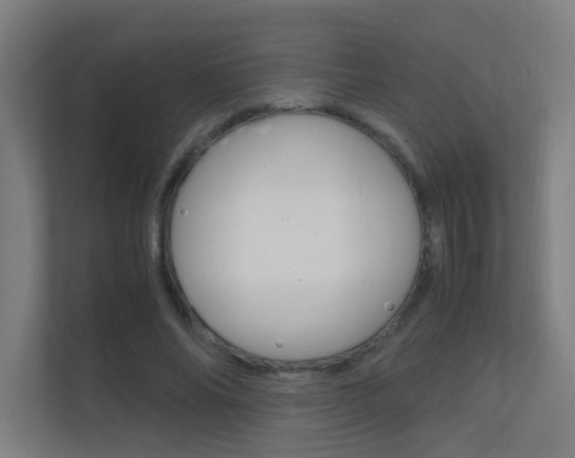 X0000112370686200908131255