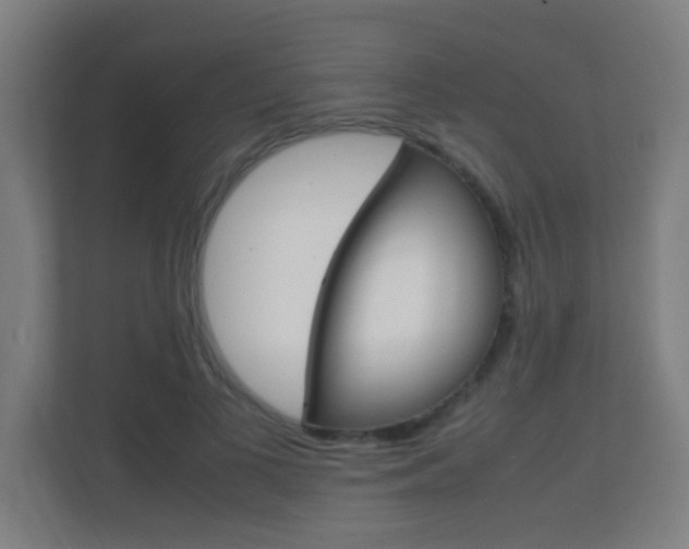 X0000112370693200908131254