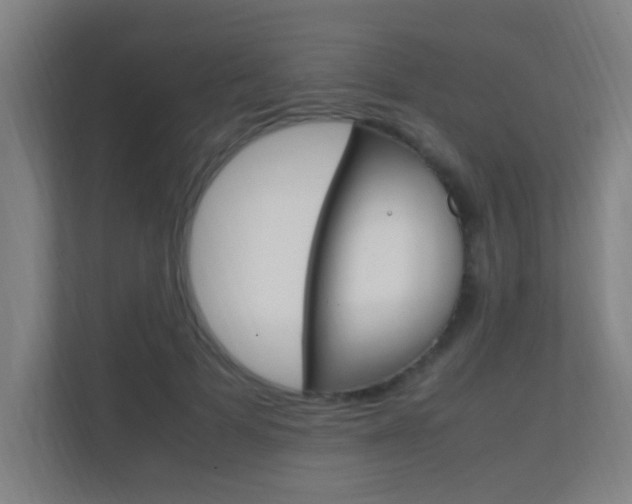 X0000112370697200908131254