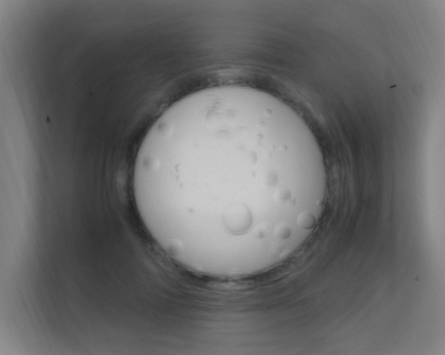 X0000112370698200908131254