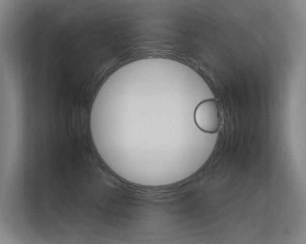 X0000112370716200908131254