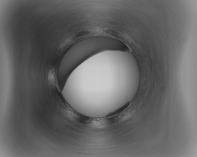 X0000112370720200908131254