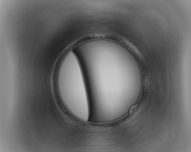 X0000112370722200908131254