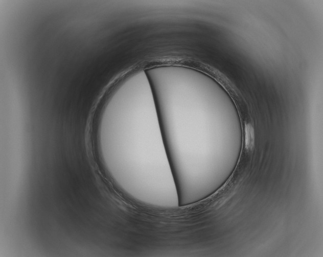 X0000112370723200908131254