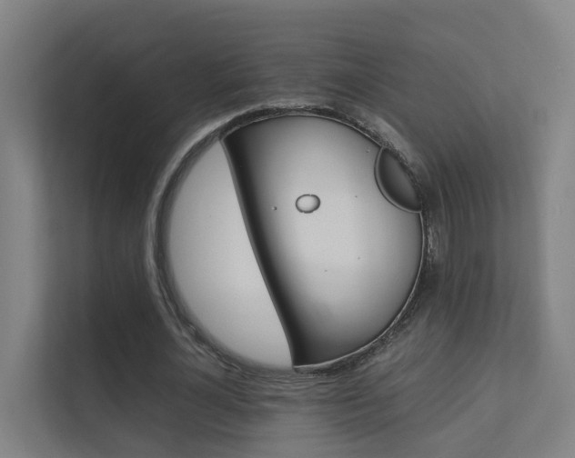 X0000112370724200908131254
