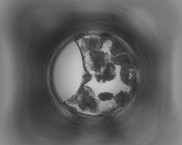 X0000112370725200908131254
