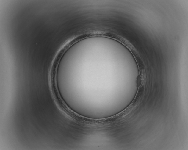 X0000112370726200908131254