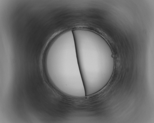 X0000112370727200908131254