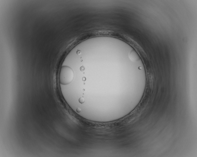 X0000112370729200908131254