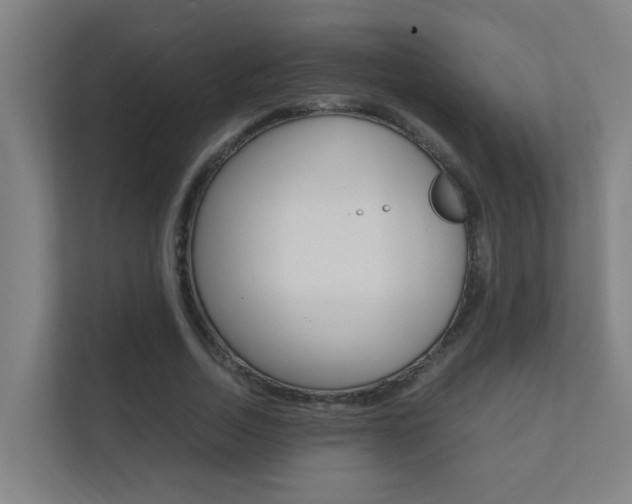 X0000112370730200908131254