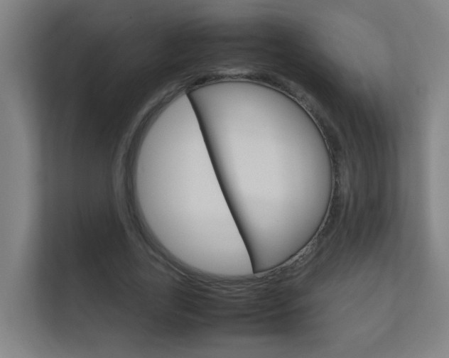 X0000112370731200908131254
