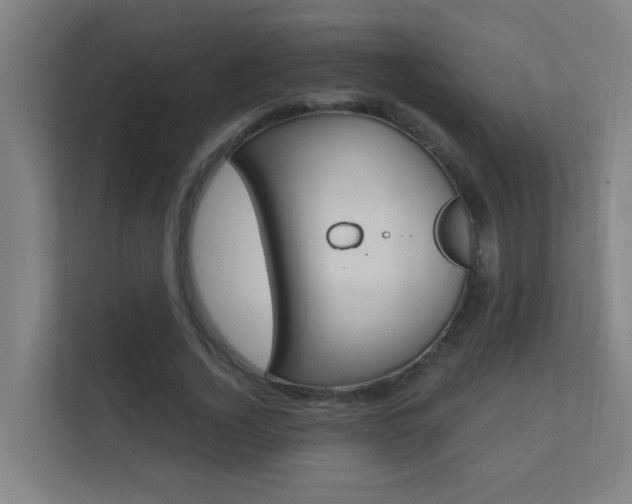 X0000112370732200908131254