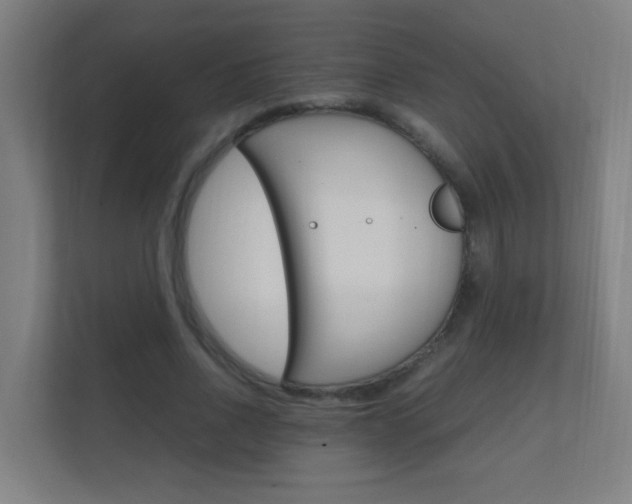 X0000112370734200908131254