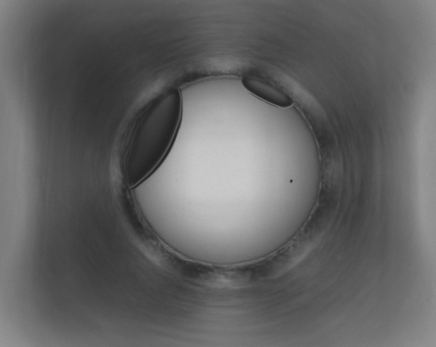 X0000112370736200908131254