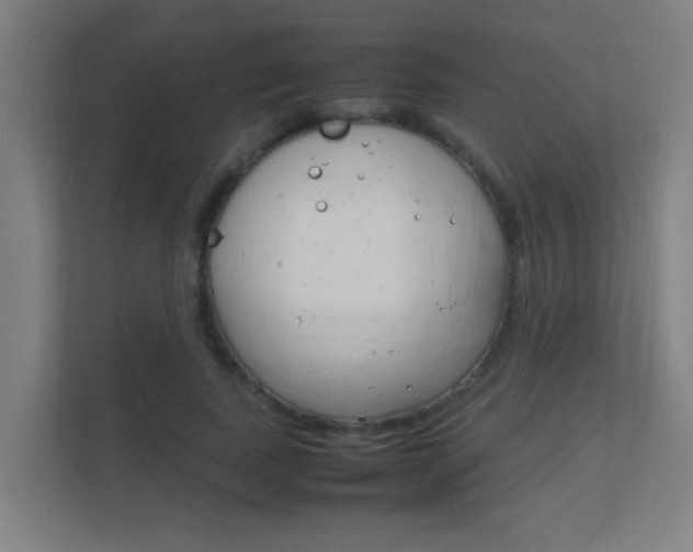 X0000112370739200908131254