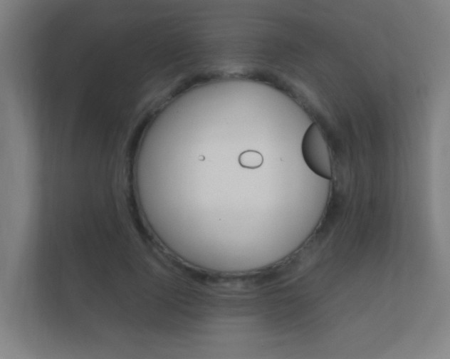 X0000112370740200908131254