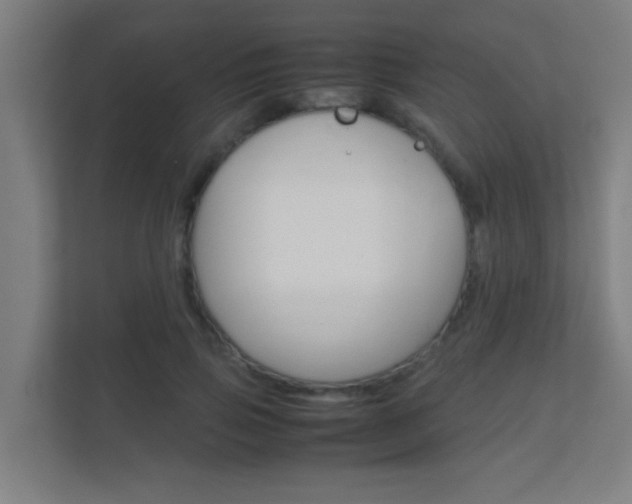 X0000112370741200908131254