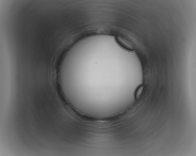 X0000112370748200908131254