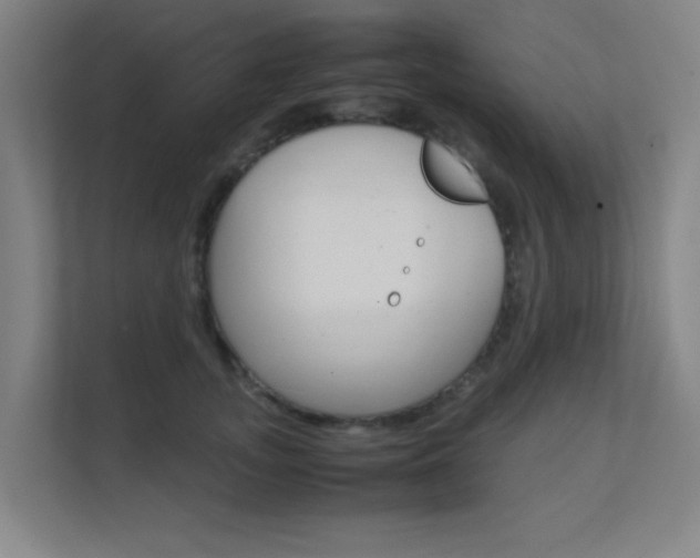 X0000112370755200908131254