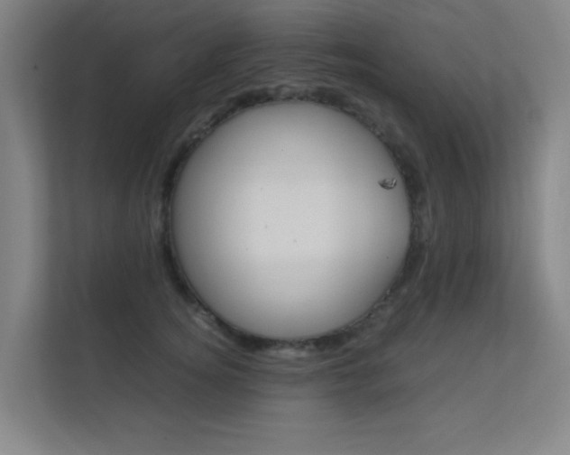 X0000112370756200908131254