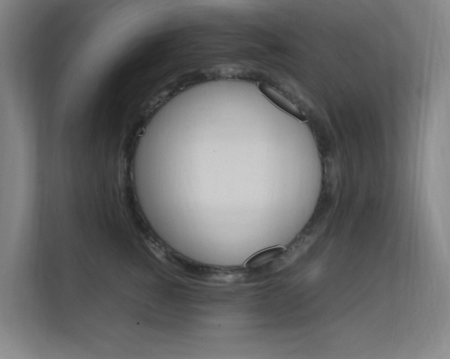 X0000112370760200908131254