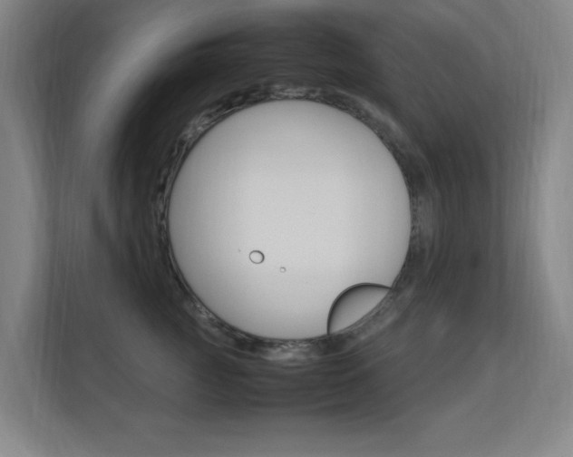 X0000112370761200908131254