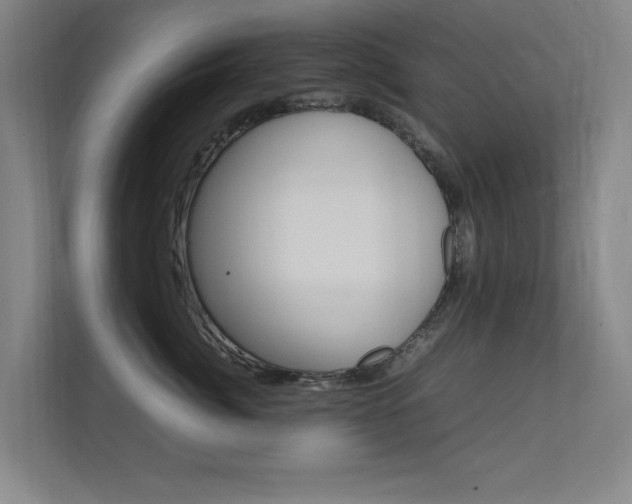 X0000112370764200908131254