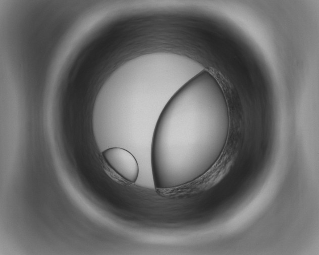 X0000112370766200908131254