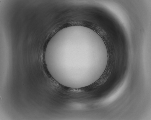X0000112370767200908131254