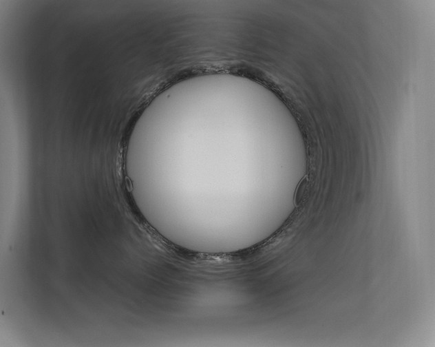 X0000112370768200908131254