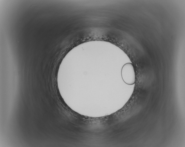 X0000112370769200908131254