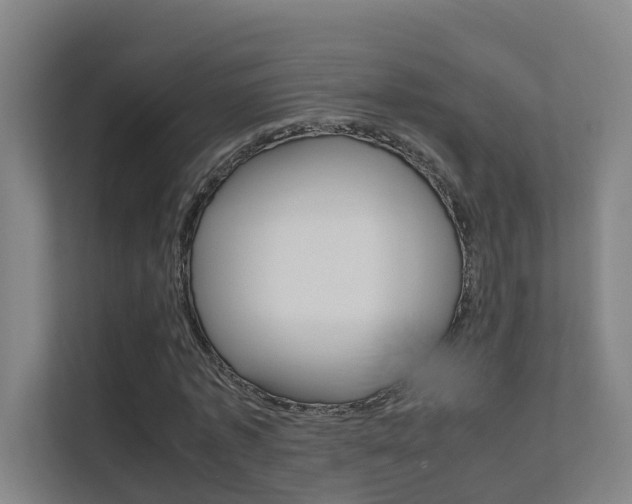X0000112370773200908131253