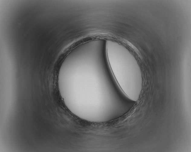 X0000112370775200908131253