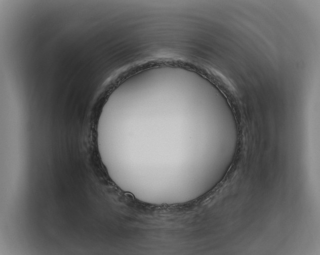 X0000112370776200908131253