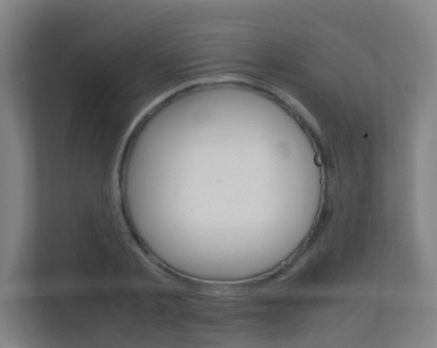 X0000112370789200908131253