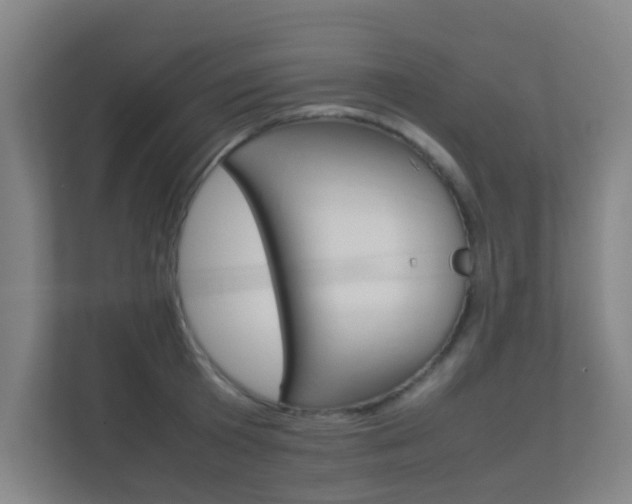 X0000112370801200908131253
