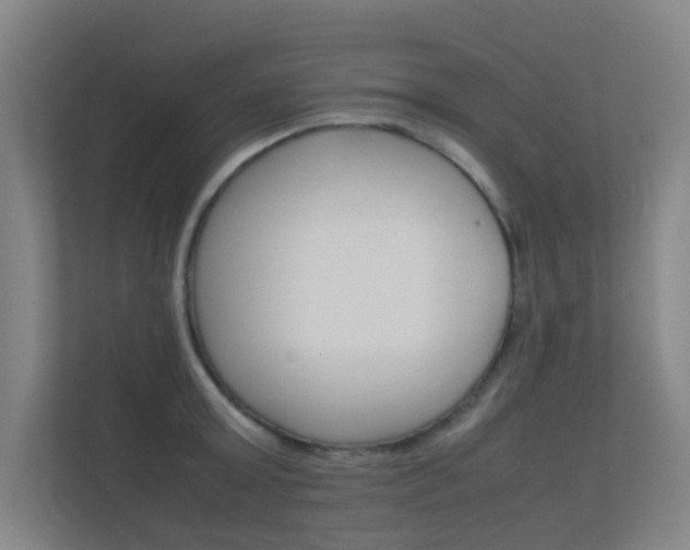 X0000112370803200908131253