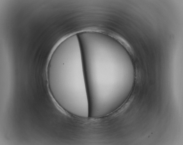 X0000112370808200908131253