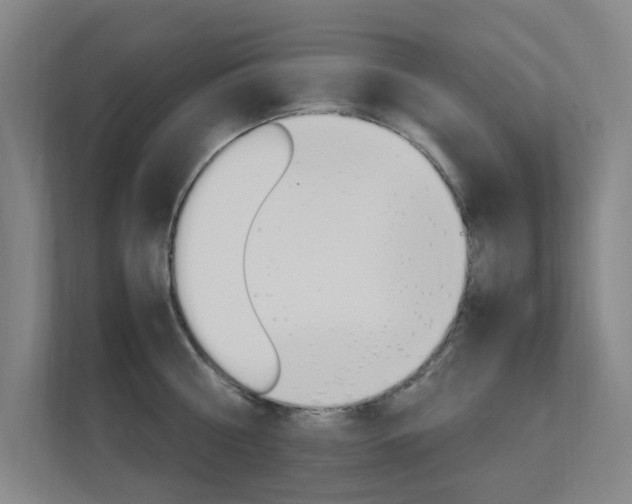 X0000112370810200908131253
