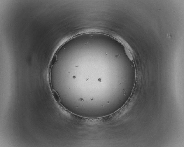 X0000112370813200908131253