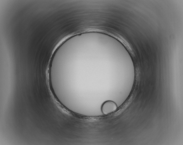 X0000112370814200908131253