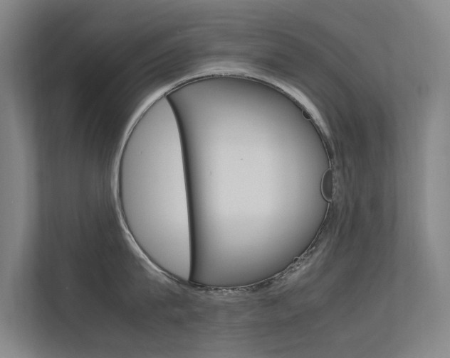 X0000112370815200908131253