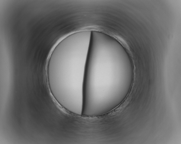X0000112370816200908131253